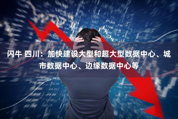 闪牛 四川：加快建设大型和超大型数据中心、城市数据中心、边缘数据中心等