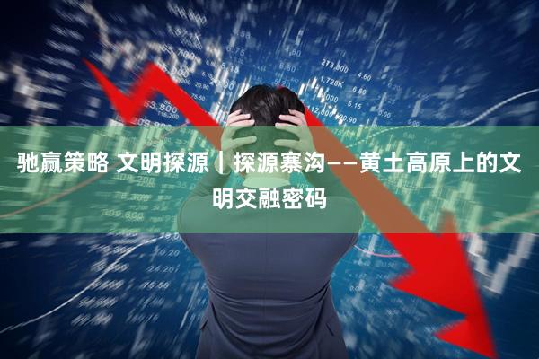 驰赢策略 文明探源｜探源寨沟——黄土高原上的文明交融密码