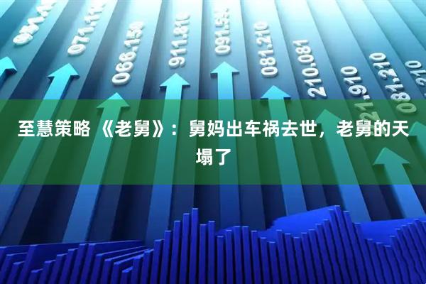 至慧策略 《老舅》：舅妈出车祸去世，老舅的天塌了