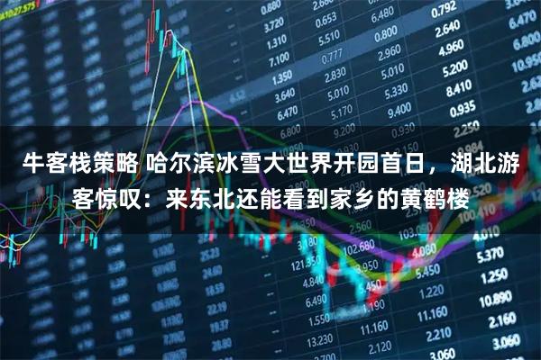 牛客栈策略 哈尔滨冰雪大世界开园首日，湖北游客惊叹：来东北还能看到家乡的黄鹤楼