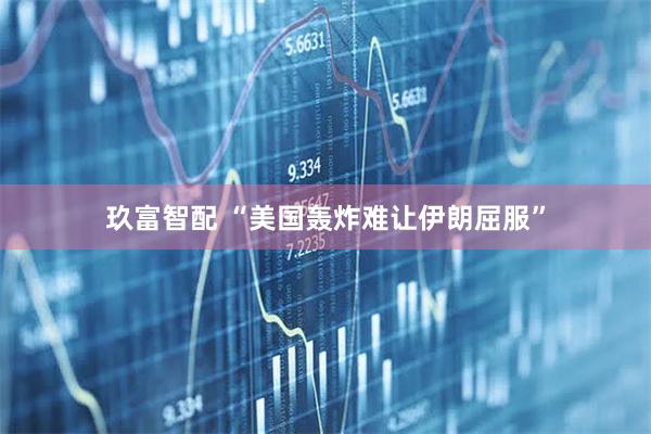 玖富智配 “美国轰炸难让伊朗屈服”